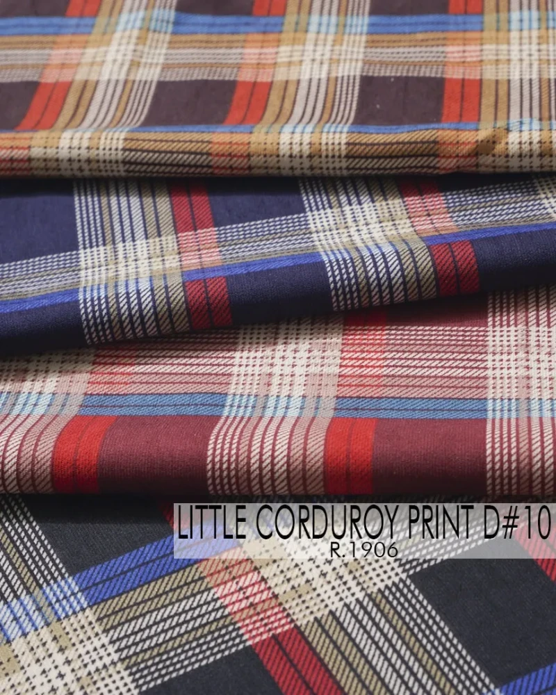 Little Corduroy Print D#10